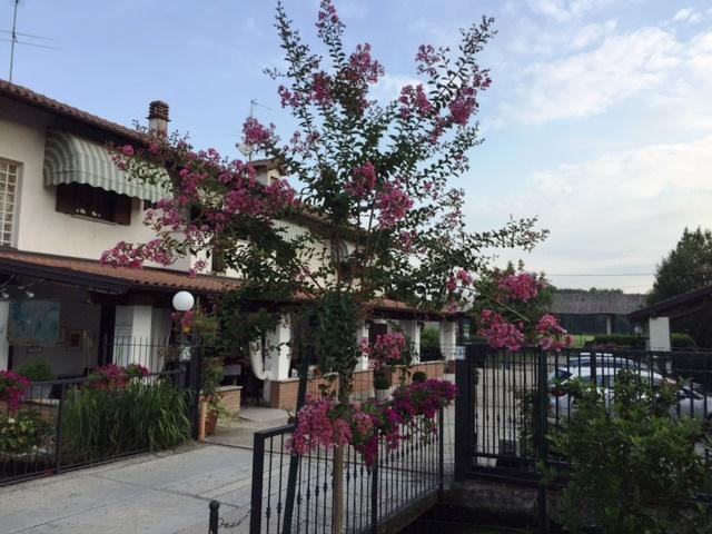 Hotel Locanda Da Carla Vigevano Eksteriør billede